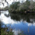 LIFE ON THE SUWANNEE RIVER 