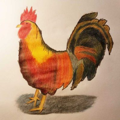 11th grade student colored pencil drawing