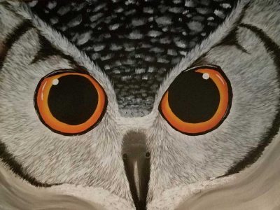 18 y.o. student oil painting of owl